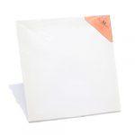 Canvas Board 12 12