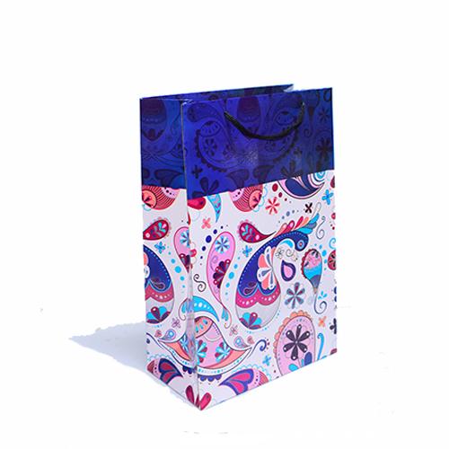 Gift Bags 13 8 5 Medium Vertical