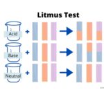 Litmus Paper Strips 3 Inches