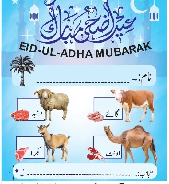 Bakra Eid Eid-ul-Adha Mubarak Adhesive Printed 12 Pcs Stickers in 3.5 Inches * 5 Inches for Meat Distribution