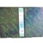 Box FIle Opal Green