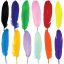 Color Feathers Pack of 12 Pcs