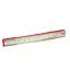 Steel Scale 12 Inches